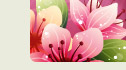 JOIN NOW!